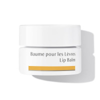 Soothes and regenerates: Dr. Hauschka Lip Balm